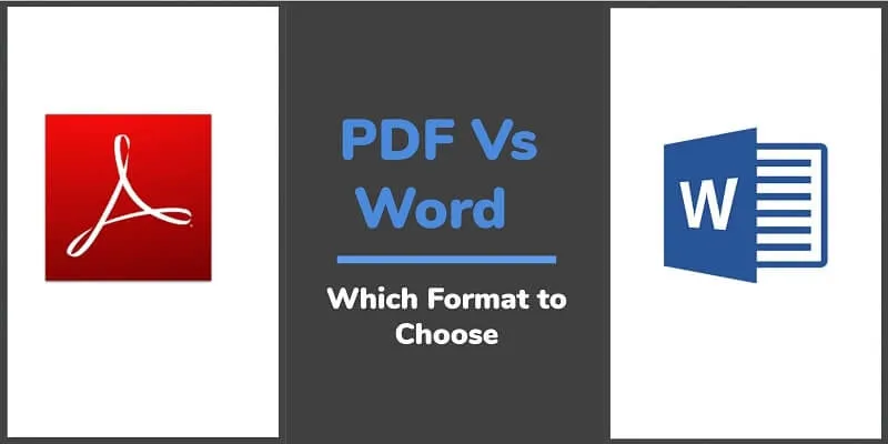 Gửi CV bằng file gì mới đúng và chuẩn: Word hay PDF?