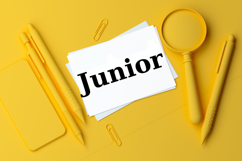 Junior là gì? Hướng dẫn phân biệt ngay với các cấp bậc khác
