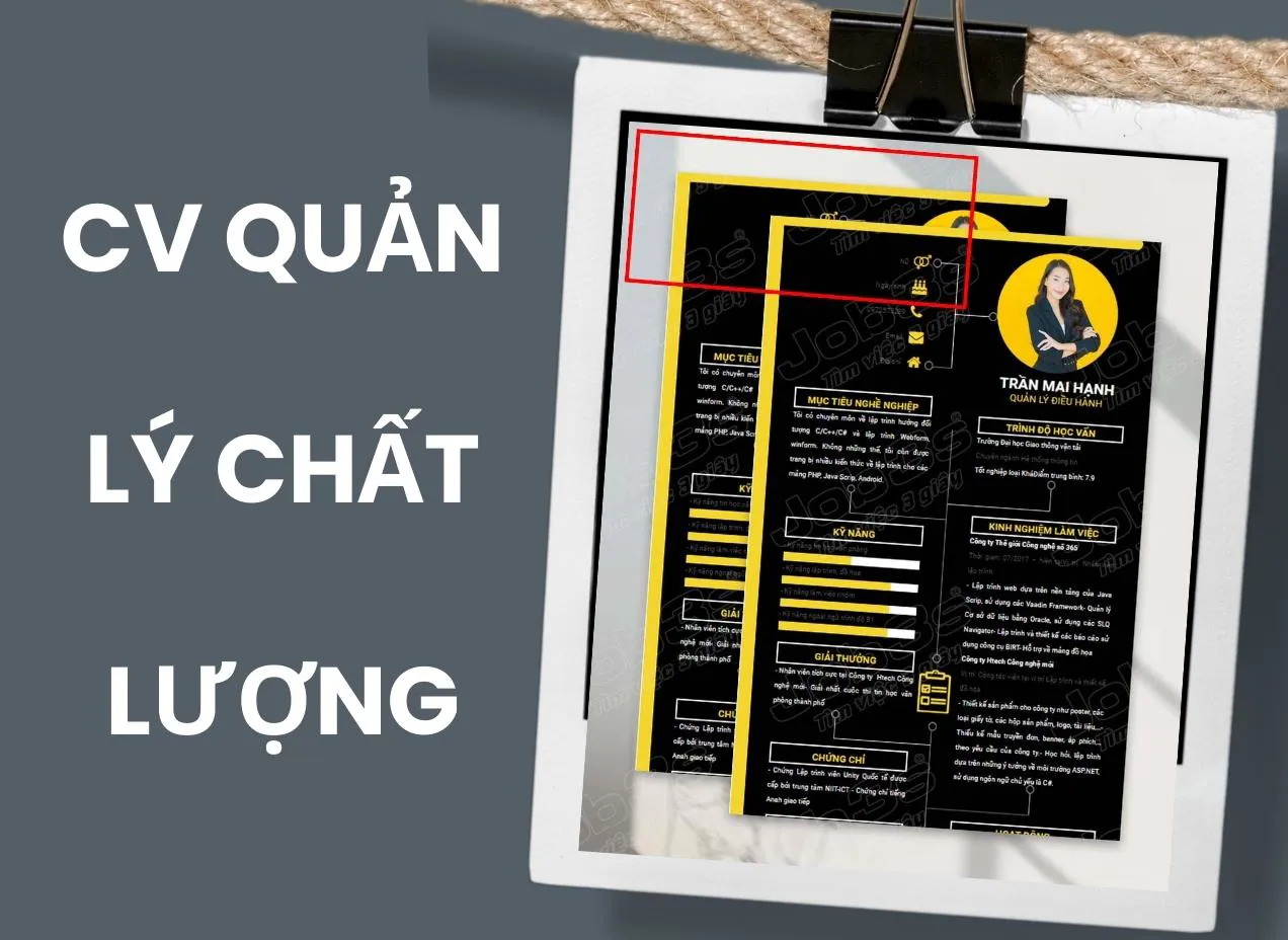 Mẫu CV quản lý chất lượng gây ấn tượng với nhà tuyển dụng