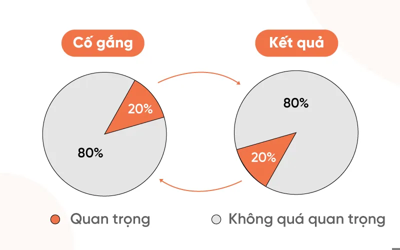 Nguyên tắc 80/20 là gì? Những điều cần biết để áp dụng Pareto hiệu quả