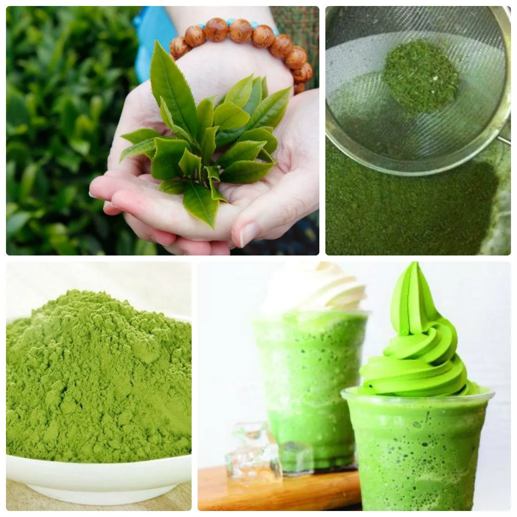 Cách làm bột trà xanh matcha Nhật Bản tại nhà